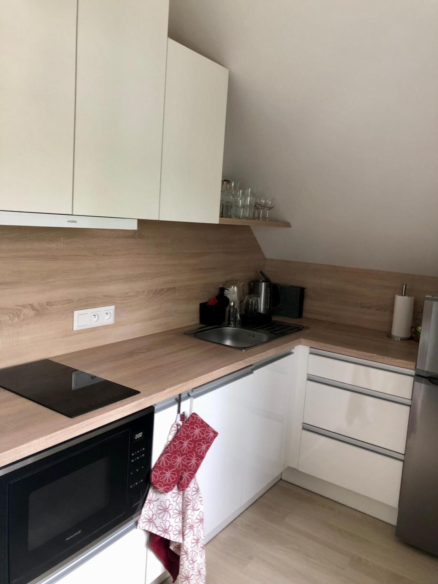 Apartman Krusne Hory - Erzgebirge Horni Blatna Luaran gambar